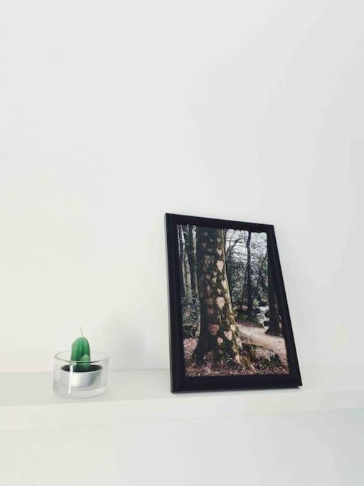 סופלנה Precioso Apartamento Con Banera Hidromasaje מראה חיצוני תמונה